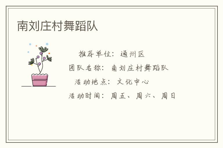 南刘庄村舞蹈队