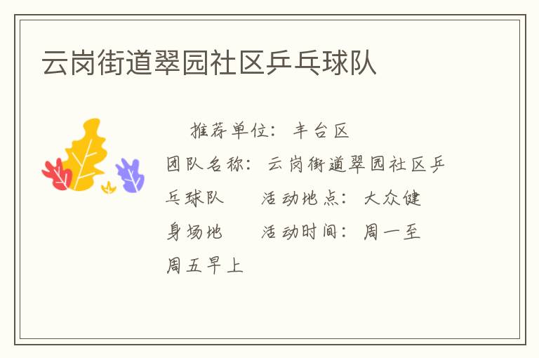 云岗街道翠园社区乒乓球队