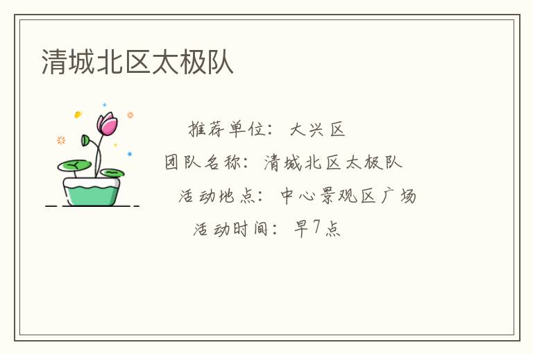 清城北区太极队