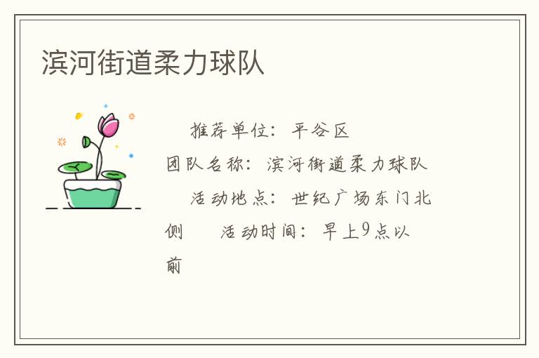 滨河街道柔力球队