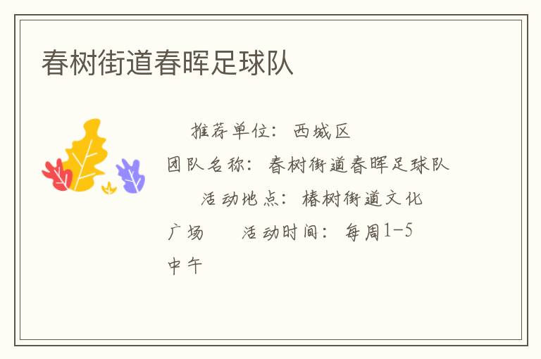 春树街道春晖足球队