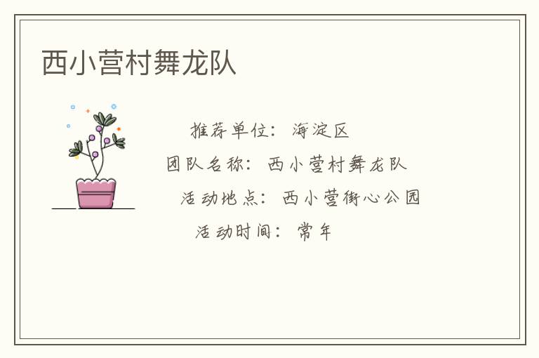 西小营村舞龙队