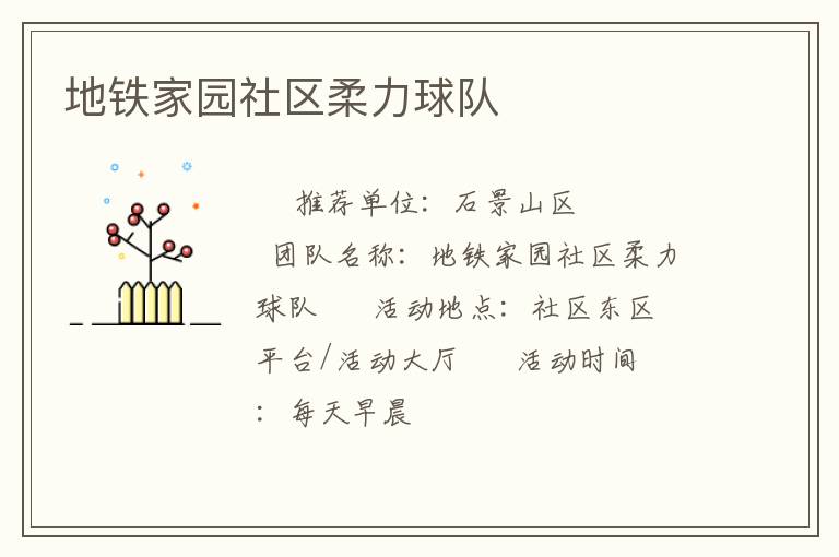 地铁家园社区柔力球队
