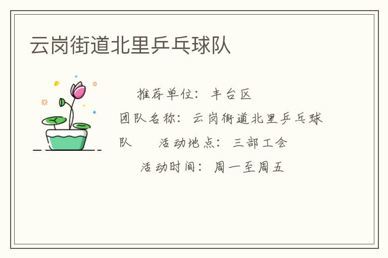 云岗街道北里乒乓球队