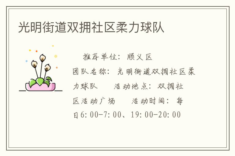 光明街道双拥社区柔力球队