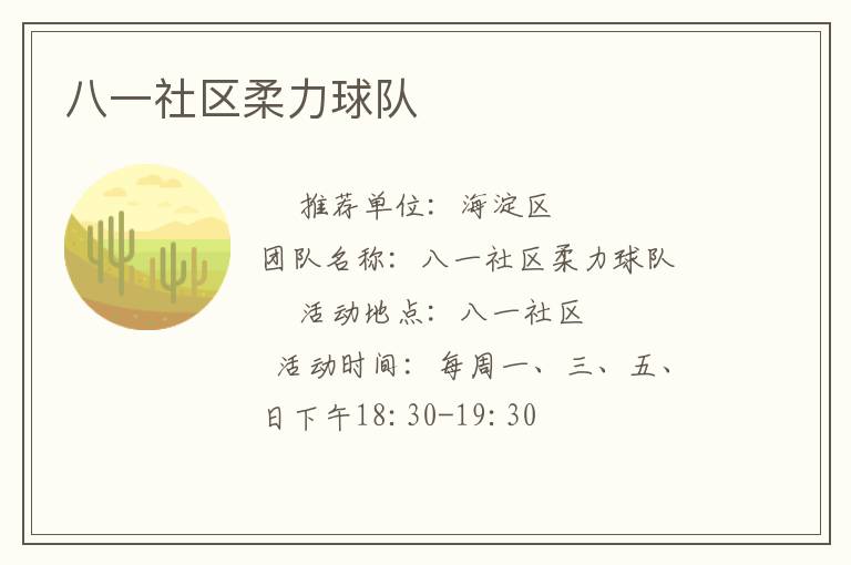 八一社区柔力球队