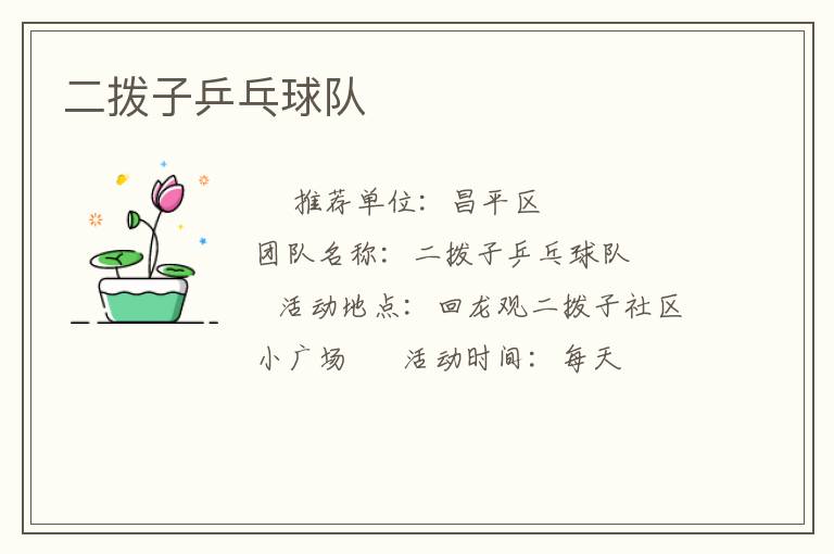 二拨子乒乓球队