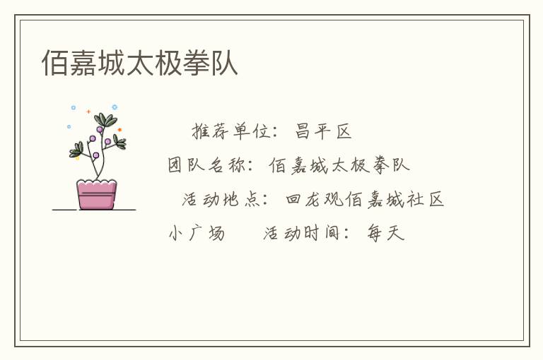 佰嘉城太极拳队