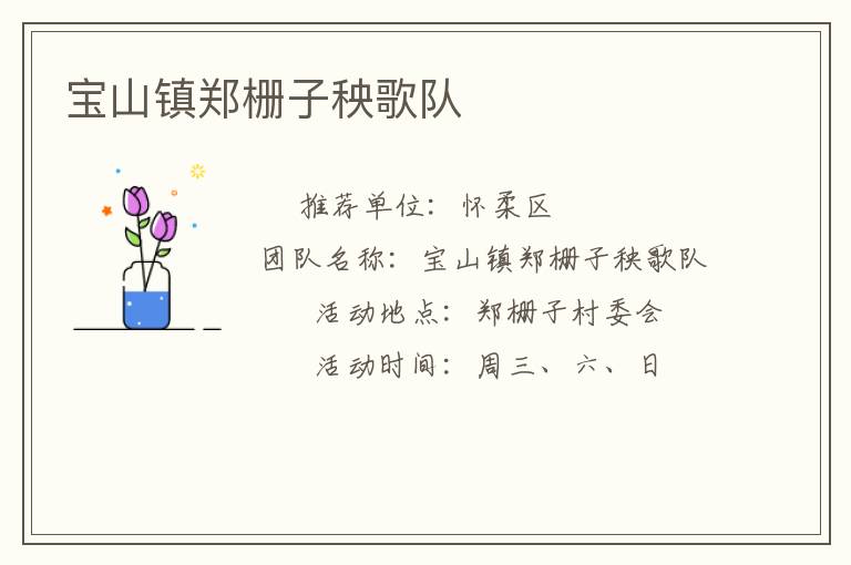宝山镇郑栅子秧歌队