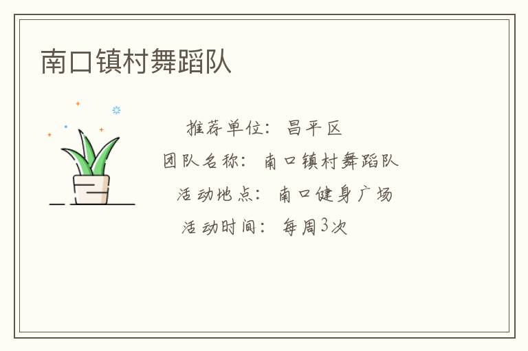 南口镇村舞蹈队