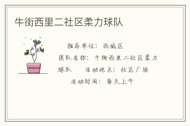 牛街西里二社区柔力球队