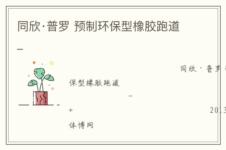 同欣·普罗 预制环保型橡胶跑道_