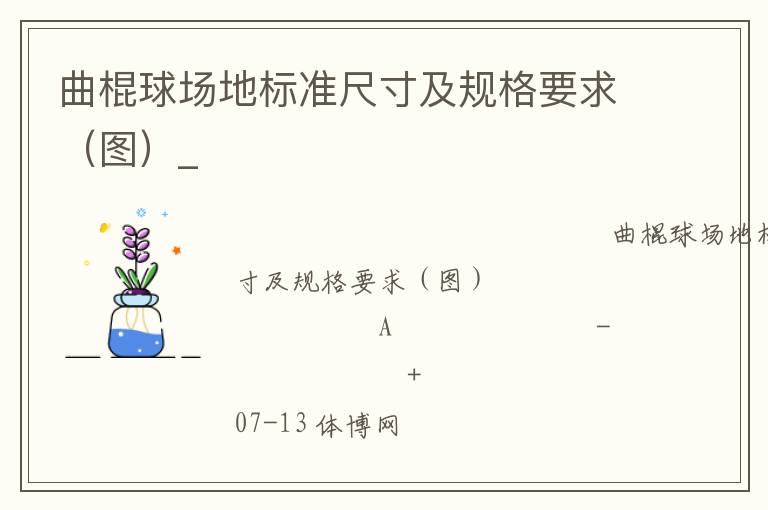 曲棍球场地标准尺寸及规格要求（图）_