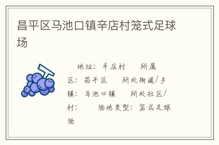 昌平区马池口镇辛店村笼式足球场