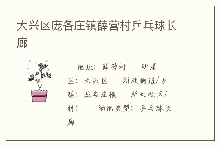 大兴区庞各庄镇薛营村乒乓球长廊