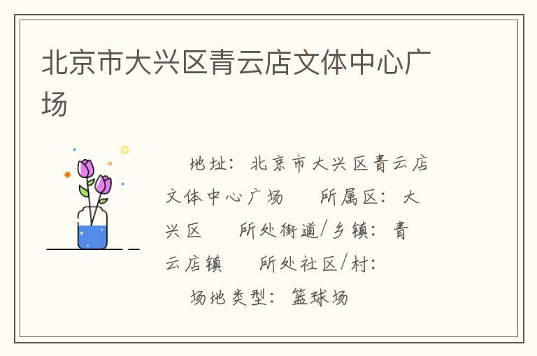 北京市大兴区青云店文体中心广场