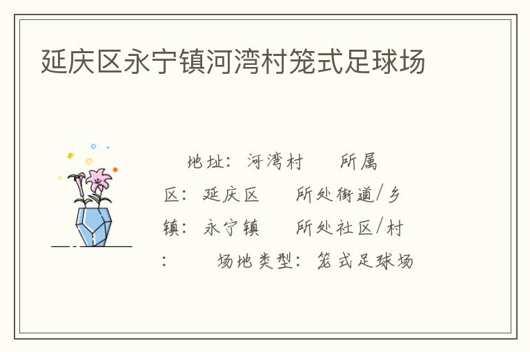 延庆区永宁镇河湾村笼式足球场