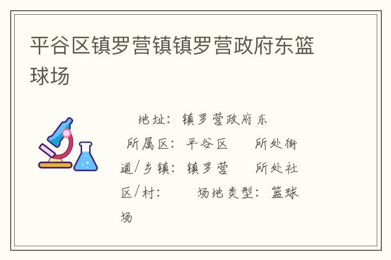 平谷区镇罗营镇镇罗营政府东篮球场