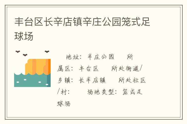 丰台区长辛店镇辛庄公园笼式足球场