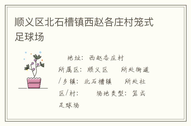 顺义区北石槽镇西赵各庄村笼式足球场