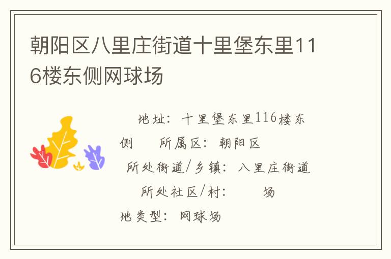 朝阳区八里庄街道十里堡东里116楼东侧网球场