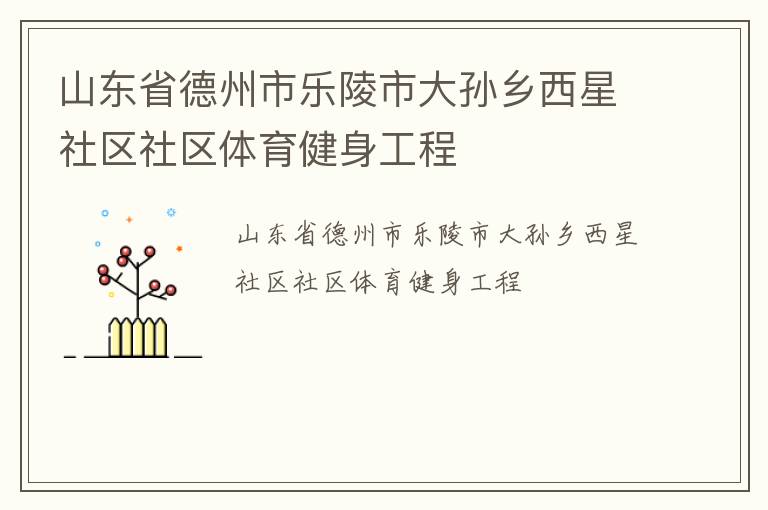 山东省德州市乐陵市大孙乡西星社区社区体育健身工程