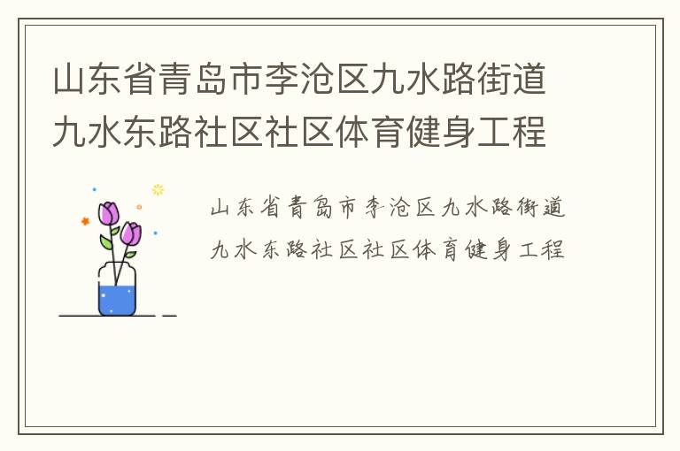 山东省青岛市李沧区九水路街道九水东路社区社区体育健身工程