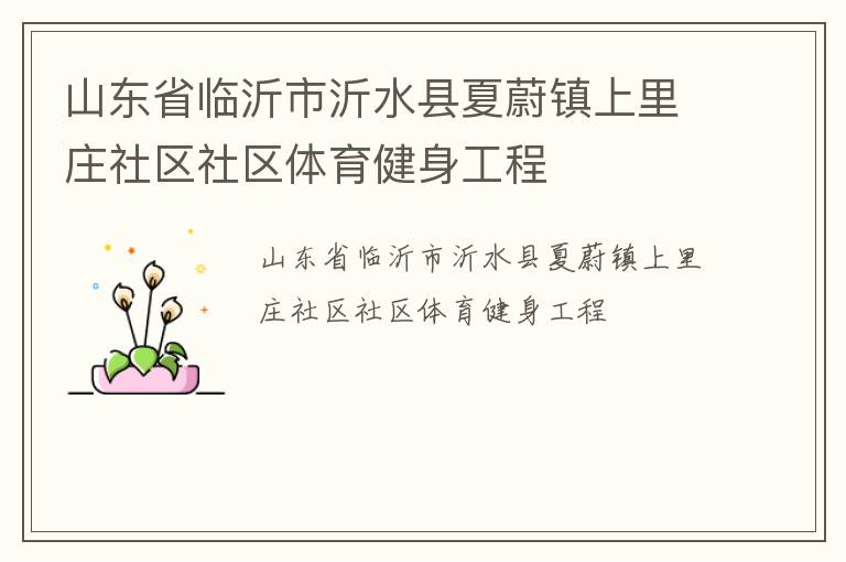 山东省临沂市沂水县夏蔚镇上里庄社区社区体育健身工程