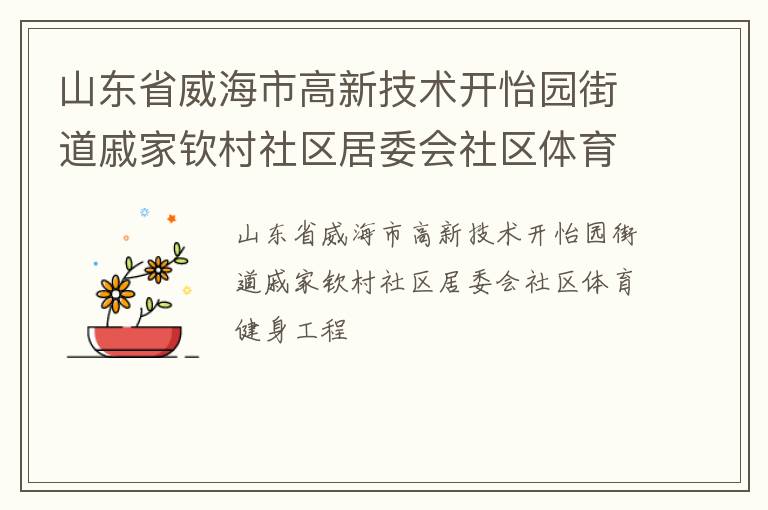 山东省威海市高新技术开怡园街道戚家钦村社区居委会社区体育健身工程