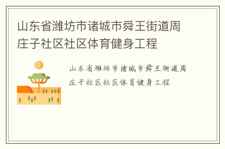 山东省潍坊市诸城市舜王街道周庄子社区社区体育健身工程