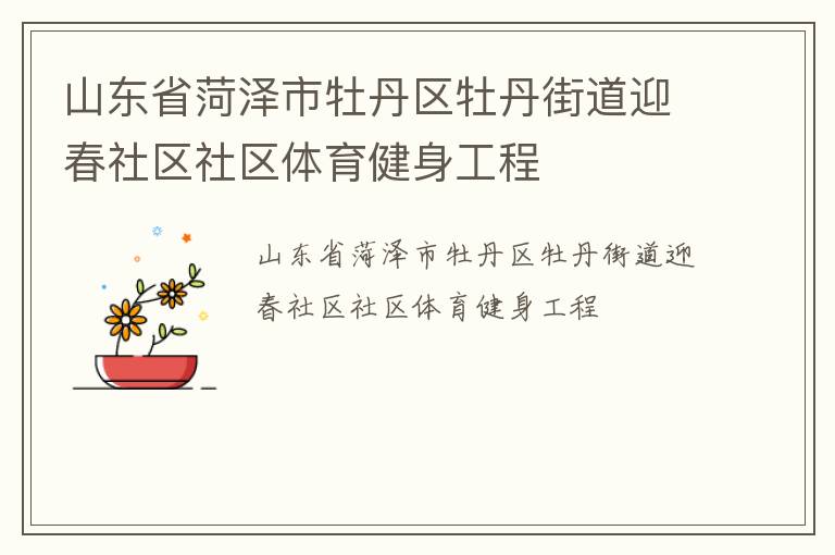 山东省菏泽市牡丹区牡丹街道迎春社区社区体育健身工程