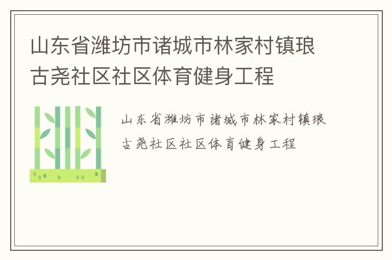 山东省潍坊市诸城市林家村镇琅古尧社区社区体育健身工程
