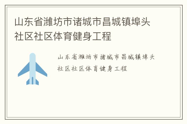 山东省潍坊市诸城市昌城镇埠头社区社区体育健身工程