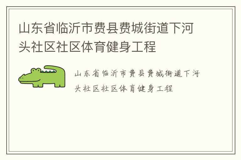 山东省临沂市费县费城街道下河头社区社区体育健身工程