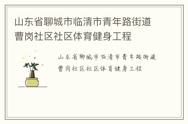 山东省聊城市临清市青年路街道曹岗社区社区体育健身工程