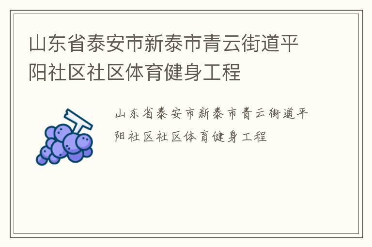 山东省泰安市新泰市青云街道平阳社区社区体育健身工程