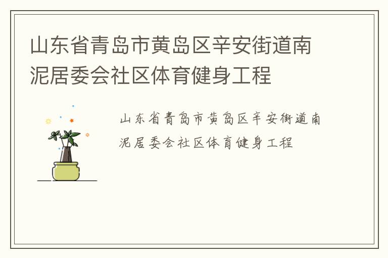 山东省青岛市黄岛区辛安街道南泥居委会社区体育健身工程