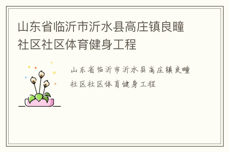 山东省临沂市沂水县高庄镇良疃社区社区体育健身工程