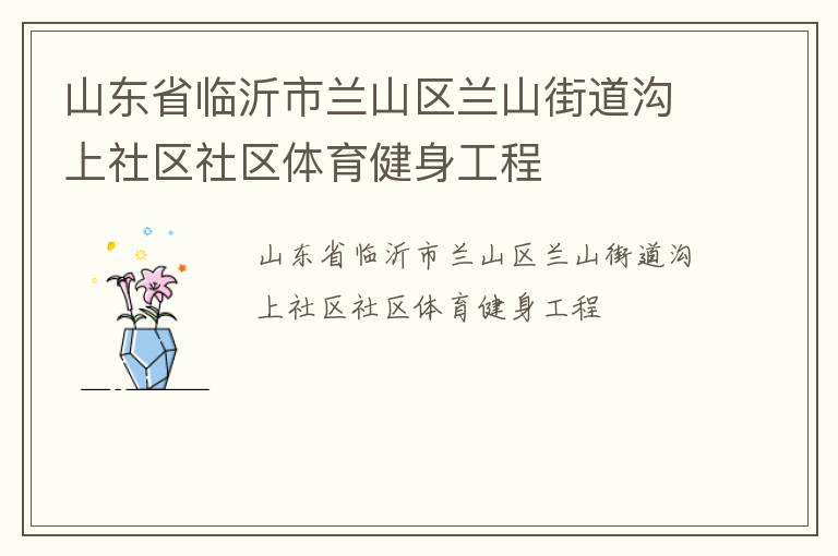山东省临沂市兰山区兰山街道沟上社区社区体育健身工程