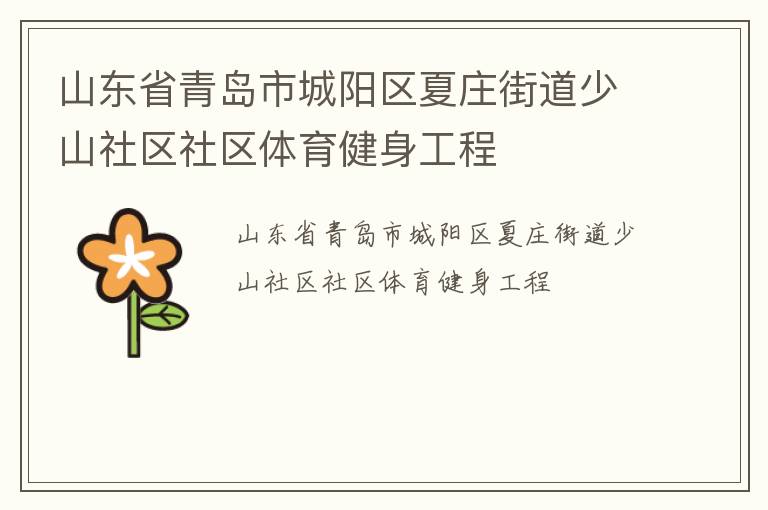 山东省青岛市城阳区夏庄街道少山社区社区体育健身工程