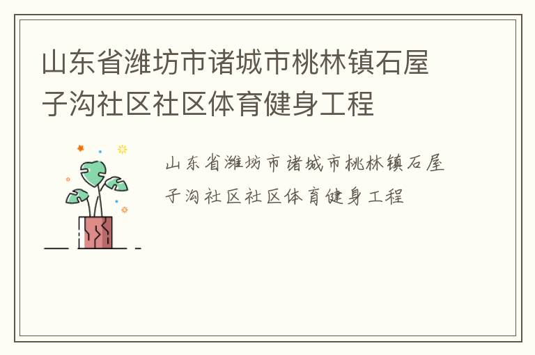 山东省潍坊市诸城市桃林镇石屋子沟社区社区体育健身工程