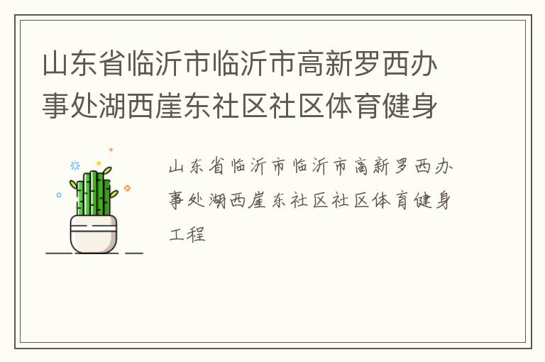 山东省临沂市临沂市高新罗西办事处湖西崖东社区社区体育健身工程