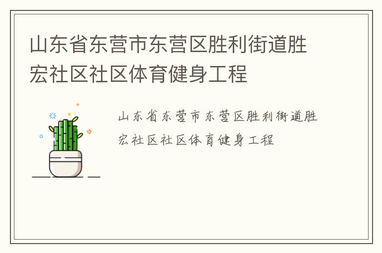 山东省东营市东营区胜利街道胜宏社区社区体育健身工程