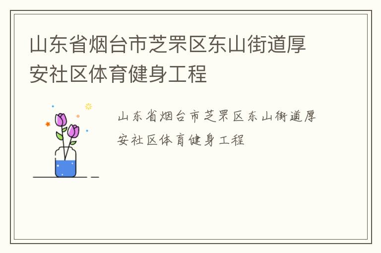 山东省烟台市芝罘区东山街道厚安社区体育健身工程