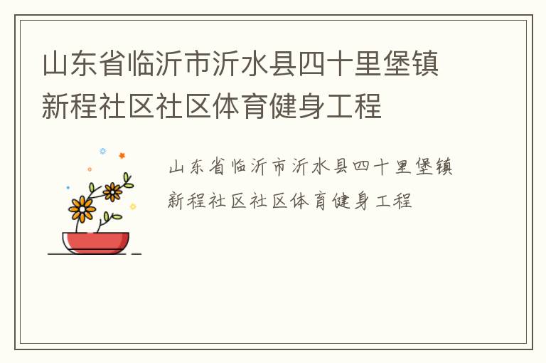 山东省临沂市沂水县四十里堡镇新程社区社区体育健身工程