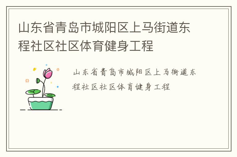 山东省青岛市城阳区上马街道东程社区社区体育健身工程