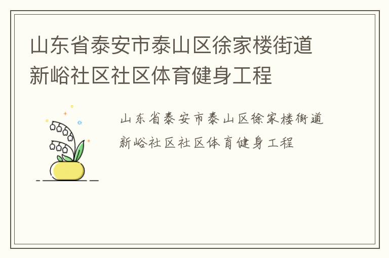 山东省泰安市泰山区徐家楼街道新峪社区社区体育健身工程