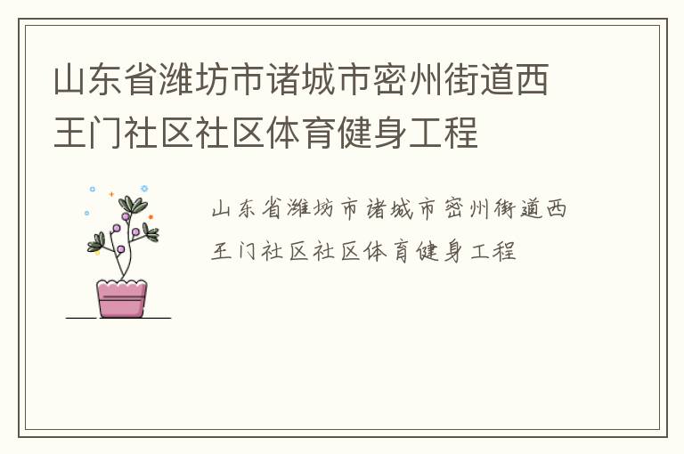 山东省潍坊市诸城市密州街道西王门社区社区体育健身工程