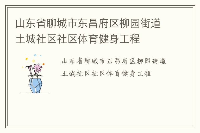 山东省聊城市东昌府区柳园街道土城社区社区体育健身工程
