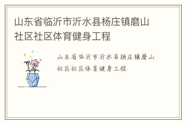 山东省临沂市沂水县杨庄镇磨山社区社区体育健身工程